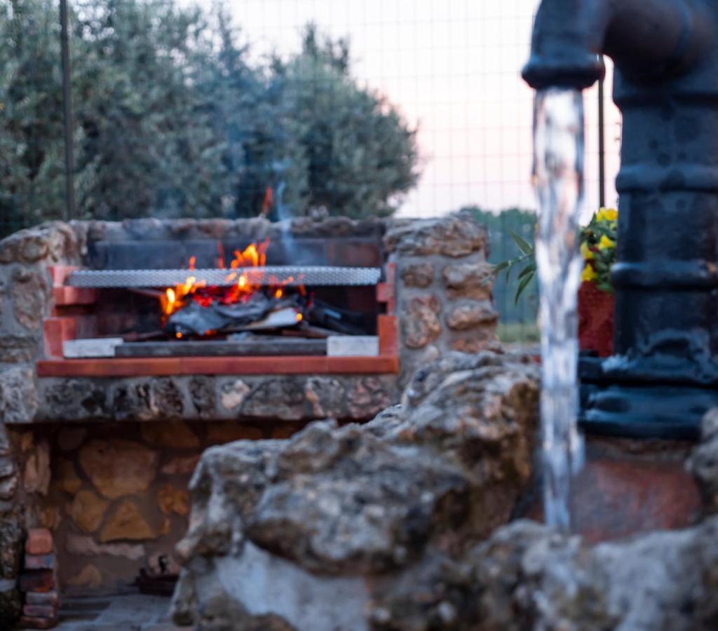 Bed and Breakfast Le Rose Nettuno Exteriér fotografie