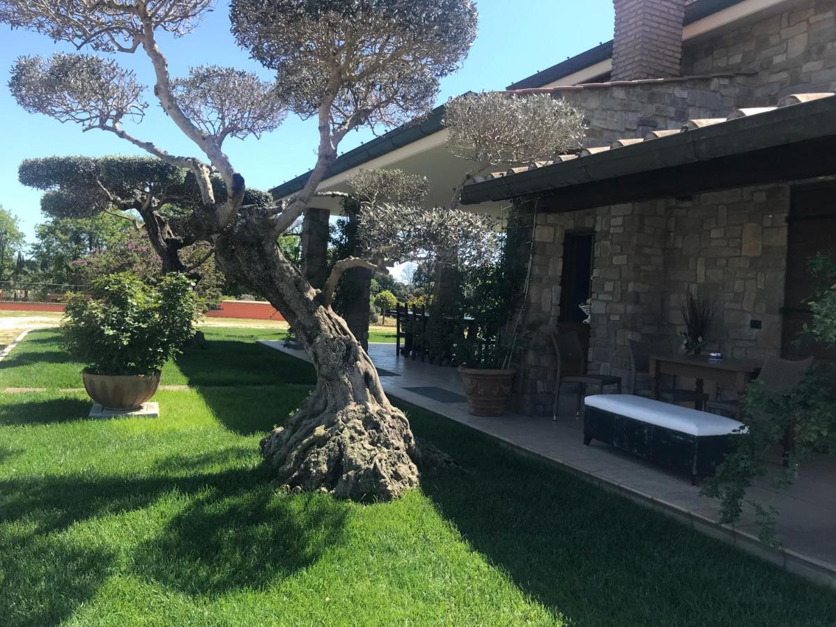 Bed and Breakfast Le Rose Nettuno Exteriér fotografie